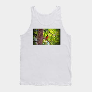 American Robin Tank Top